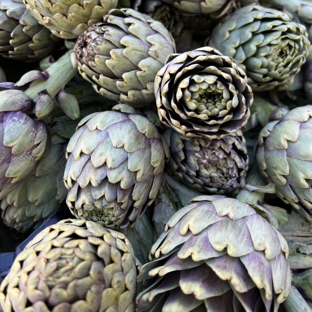 Artichoke on sale at Ostuni’s Saturday market. Puglia by food. A virtual tour of Puglia’s best food, dishes, restaurants. Puglia is one of Italy’s top foodie destinations | Photo © the Puglia Guys for the Big Gay Podcast from Puglia guides to gay Puglia, Italy’s top gay summer destination for LGBT travel.