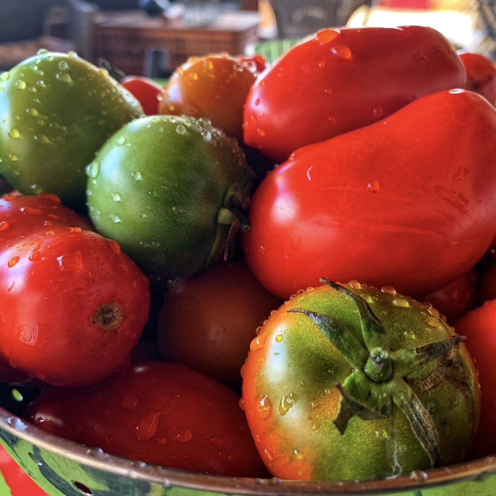 Ostuni market tomatoes. Puglia by food. A virtual tour of Puglia’s best food, dishes, restaurants. Puglia is one of Italy’s top foodie destinations | Photo © the Puglia Guys for the Big Gay Podcast from Puglia guides to gay Puglia, Italy’s top gay summer destination for LGBT travel.