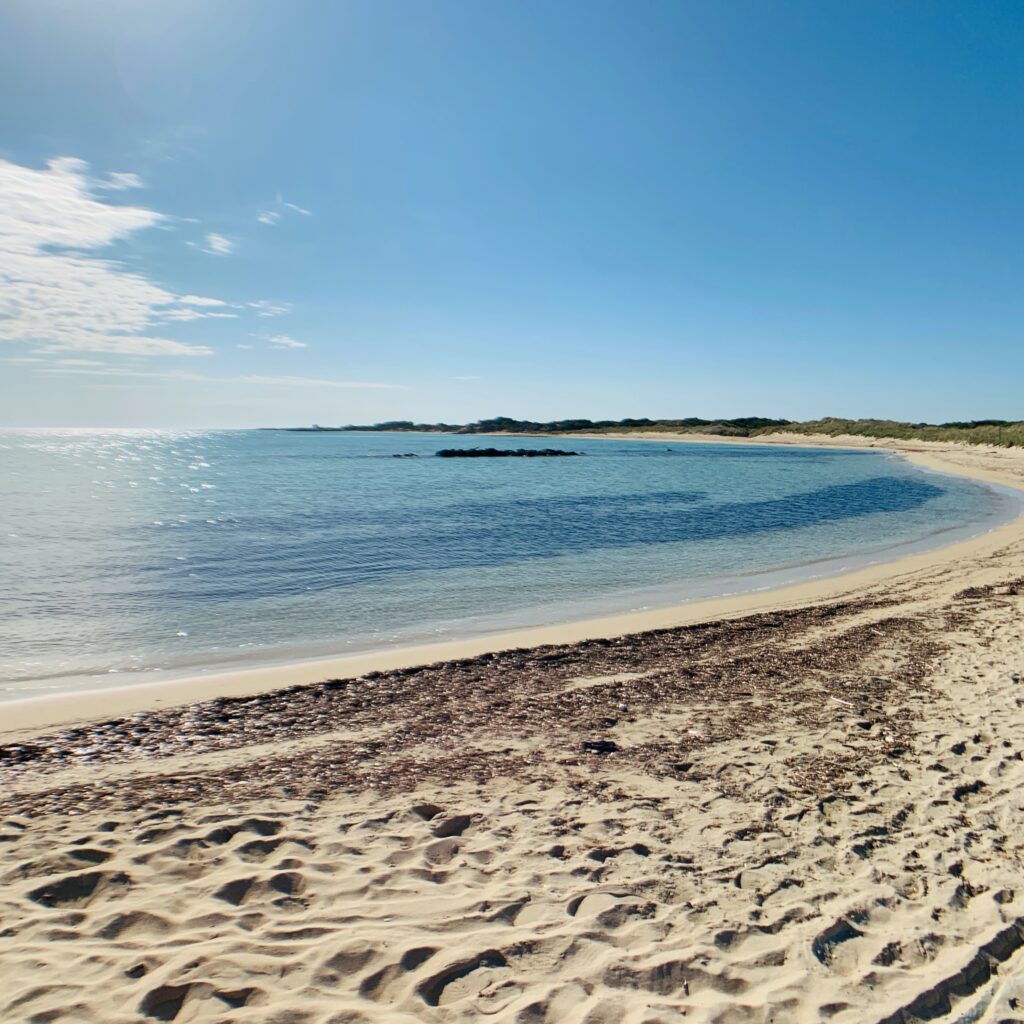 Punta Penna Grossa beach in Torre Guaceto’s nature reserve is one of Puglia’s most popular family beaches | Photo © the Puglia Guys for the Big Gay Podcast from Puglia. Local guides to Puglia’s best beaches, bars, restaurants and accommodation.