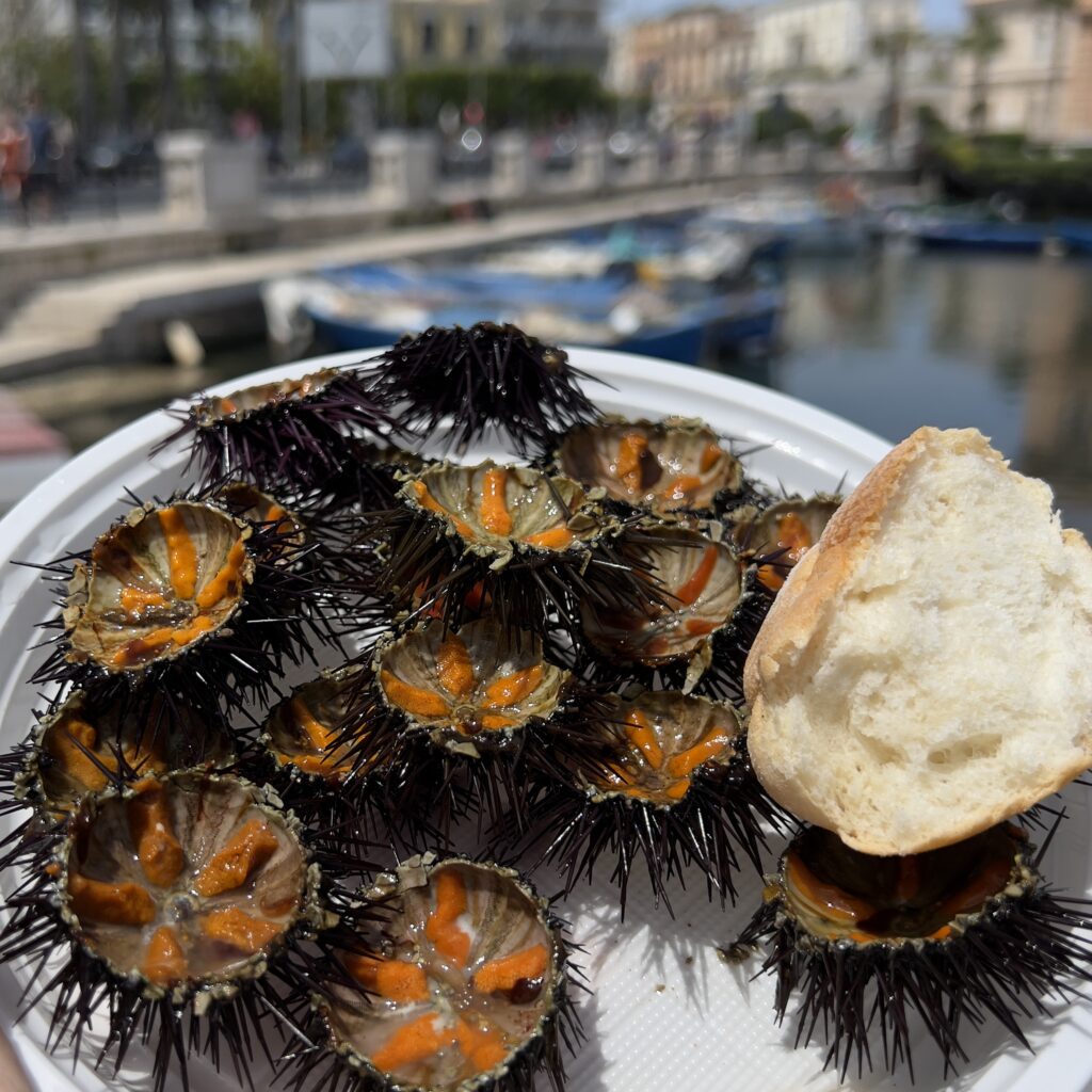 Ricci (sea urchin) are freshly caught and served up as a raw seafood lunch by fisherman returning to Bari’s old port at Molo San Nicola | with a hunk of bread a wedge of lemon with a cold beer