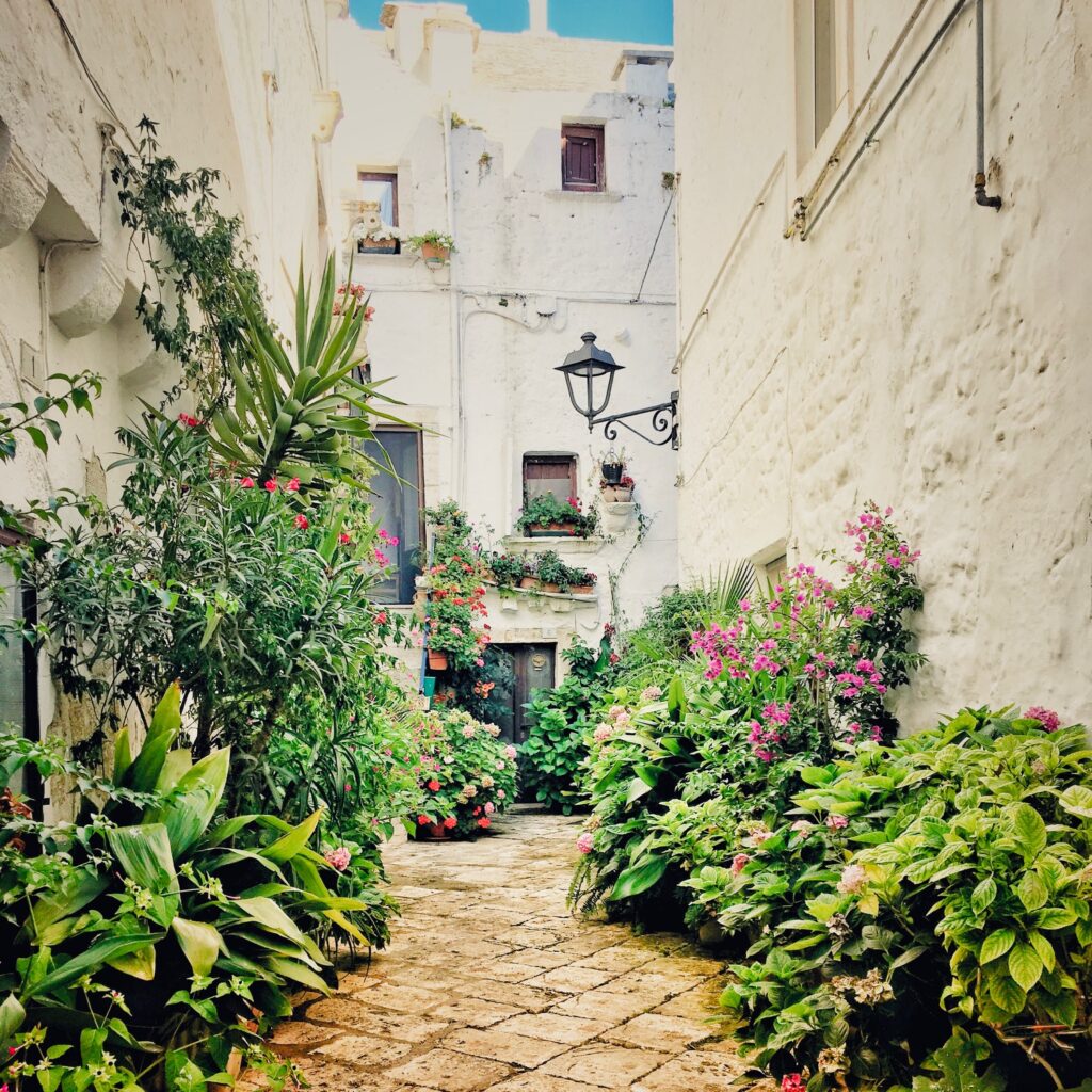 Locorotondo one of the Valle d’Itria’s white walled towns. Locorotondo city guide - discover Locorotondo’s best bars, restaurants and what to do | Photo © the Puglia Guys