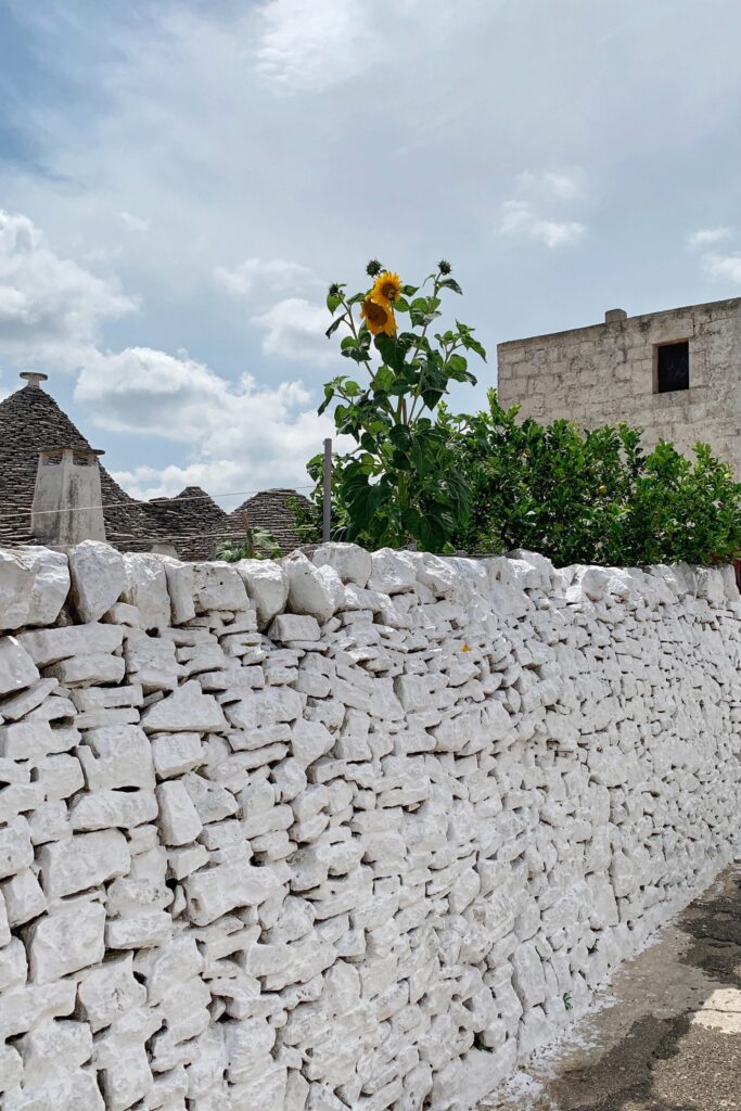 Alberobello is Puglia’s undisputed trulli capital, but it is also Puglia’s most touristic destination | Puglia city guides - discover Puglia’s best bars, restaurants and what to do | Photo © the Puglia Guys.