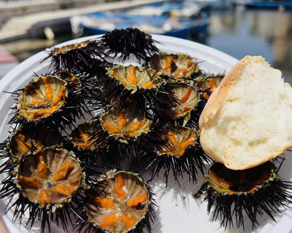 Ricci eaten fresh at Bari’s porto vecchio | Photo © the Puglia Guys