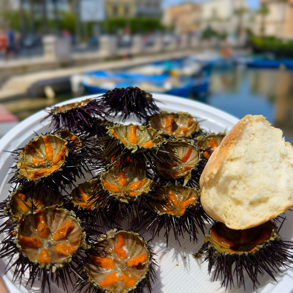 Ricci di mare caught and served by fishermen on Bari’s porto vecchio. Sea urchins are now protected for the next 3 years and cannot be harvested off Puglia’s coast.