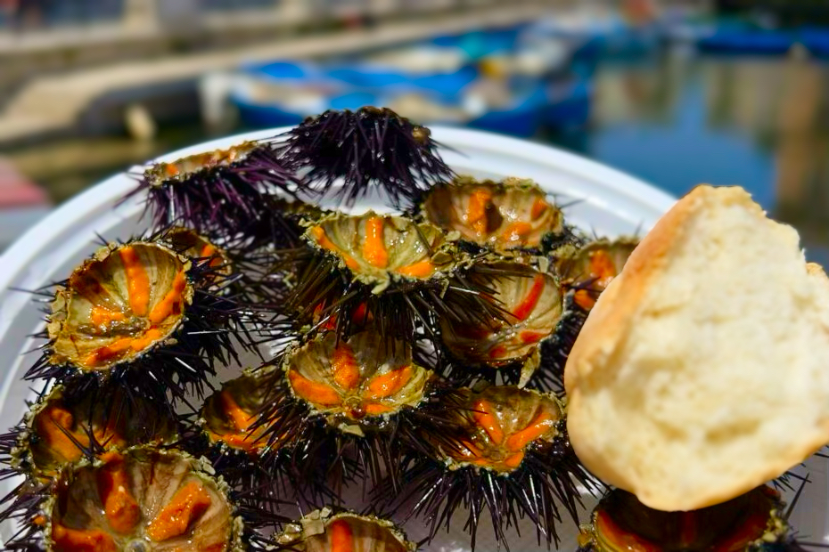 Ricci di mare caught and served by fishermen on Bari’s porto vecchio. Sea urchins are now protected for the next 3 years and cannot be harvested off Puglia’s coast. Eat Puglia with the Puglia Guys guide to Puglia’s best restaurants.
