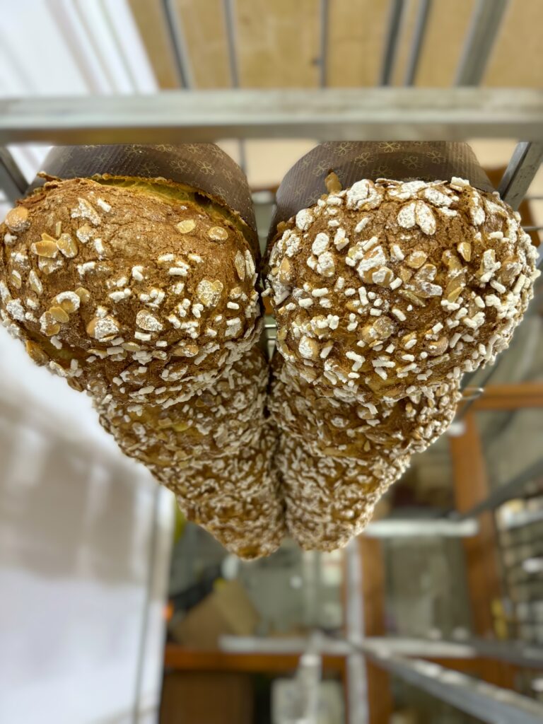 Hung upside down to cool - essential to keep the shape of the Panettone - traditional and three chocolate artisan panettone from Emalu pasticceria in Puglia. From the Puglia Guys Guide to Panettone, Italy’s traditional Christmas cake. Eat Puglia with the Puglia Guys.