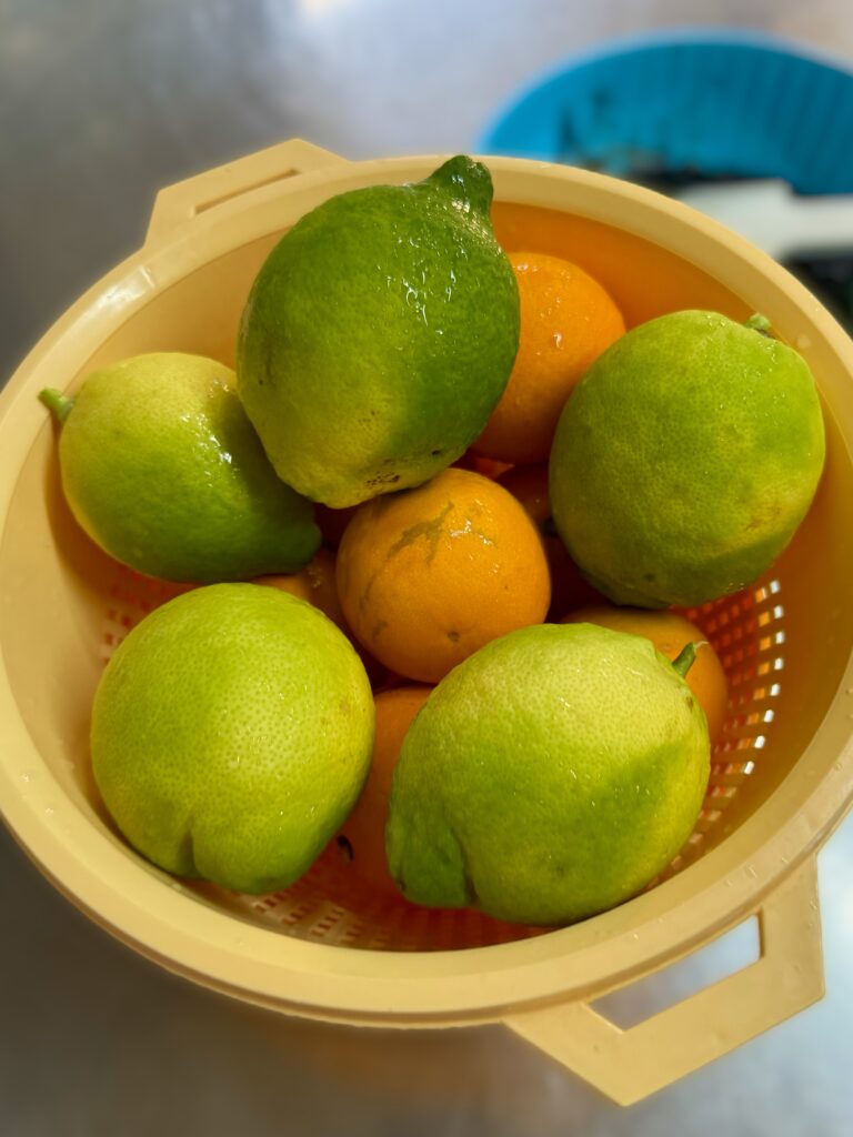 The rind of lemons and oranges for Panettone - traditional and three chocolate artisan panettone from Emalu pasticceria in Puglia. From the Puglia Guys Guide to Panettone, Italy’s traditional Christmas cake. Eat Puglia with the Puglia Guys.