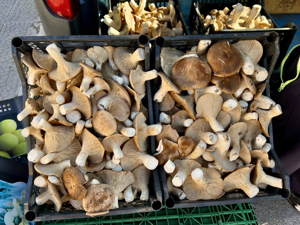 Mushrooms