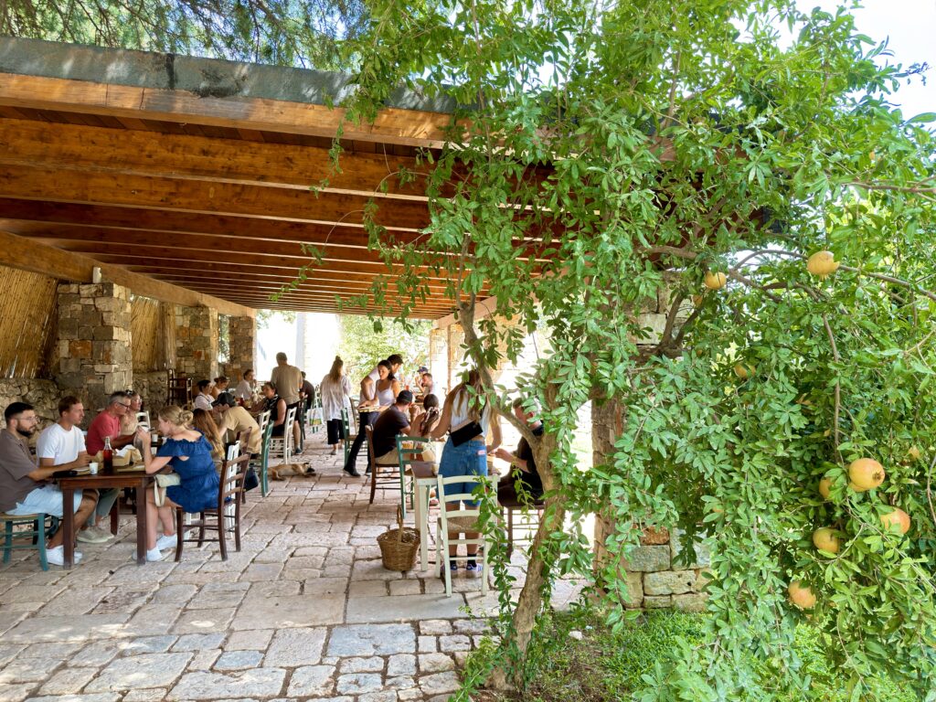 Cheese making and cheese tasting at Masseria Fragnite, Ceglie Messapica. From the Puglia Guys guide to Autumn Fall in Puglia.