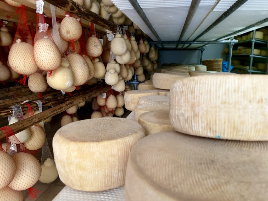 Cheeses in storage at Masseria Fragnite